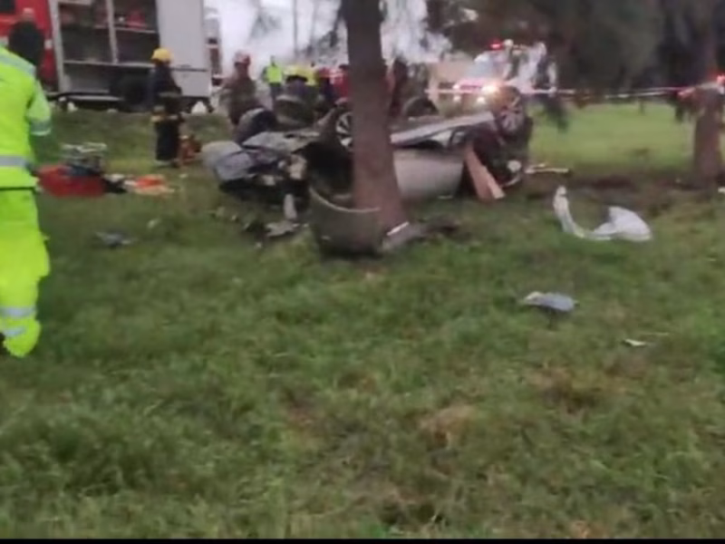 Video: vuelco y cinco muertos en Panamericana