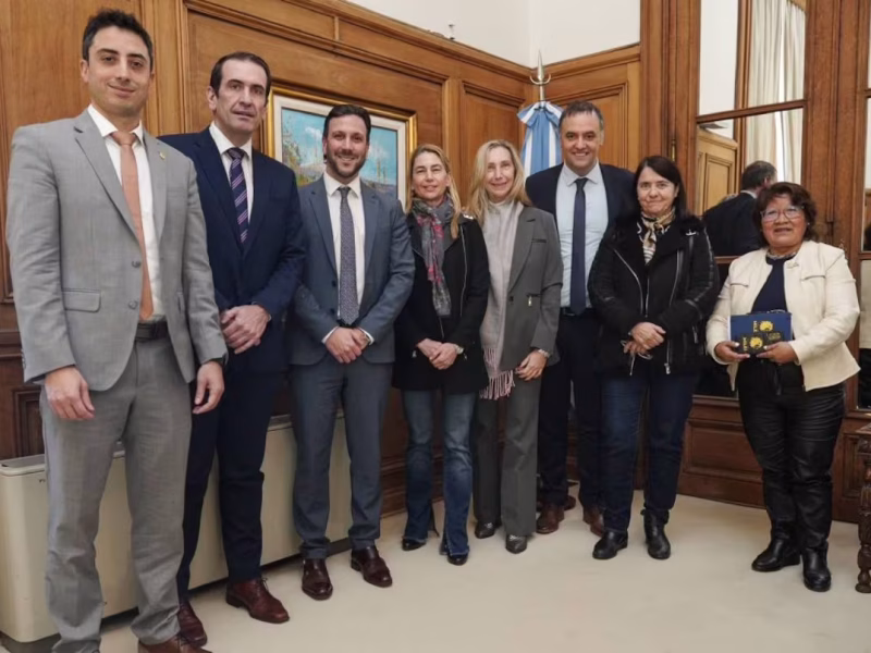 Adorni reafirmó su inocencia ante senadores libertarios y cruzó a Bullrich en las redes